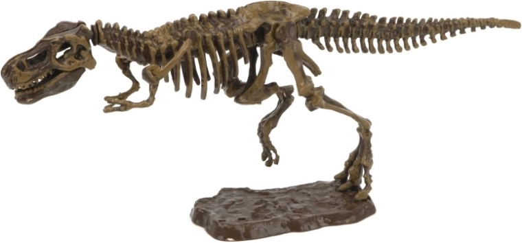 Set archeologico 3D tirannosauro