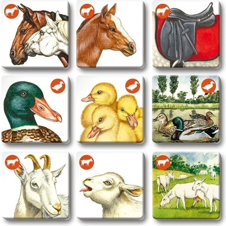 Tre giochi in una sola confezione