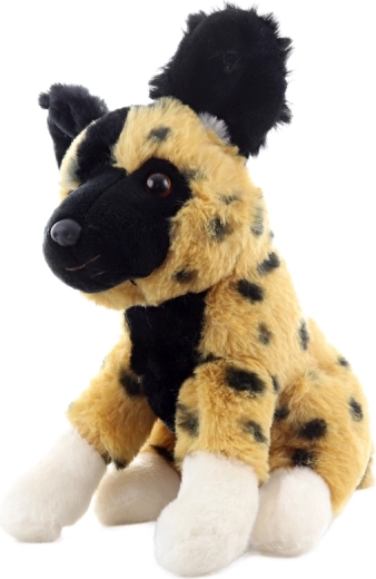 Dimensioni compatte per casa e viaggio