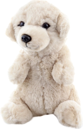 Sicuro dalla nascita