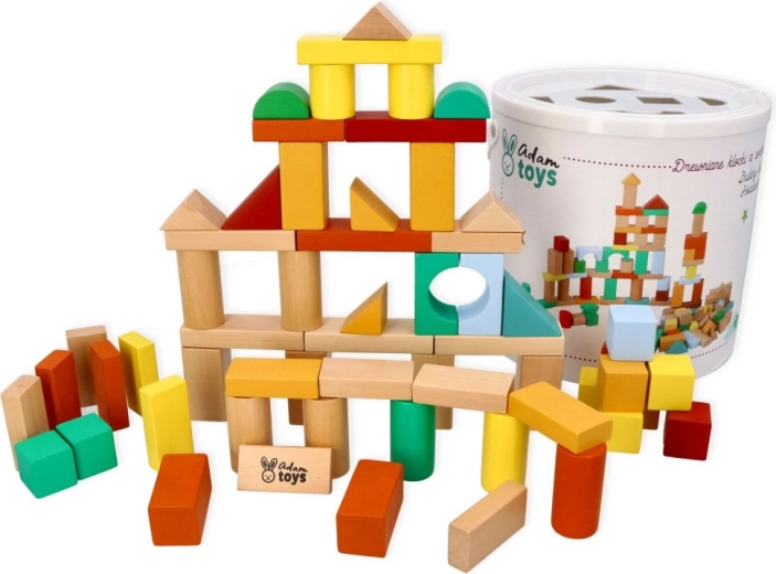 Adam Toys cubi di legno con selezionatore di forme, 100 pezzi