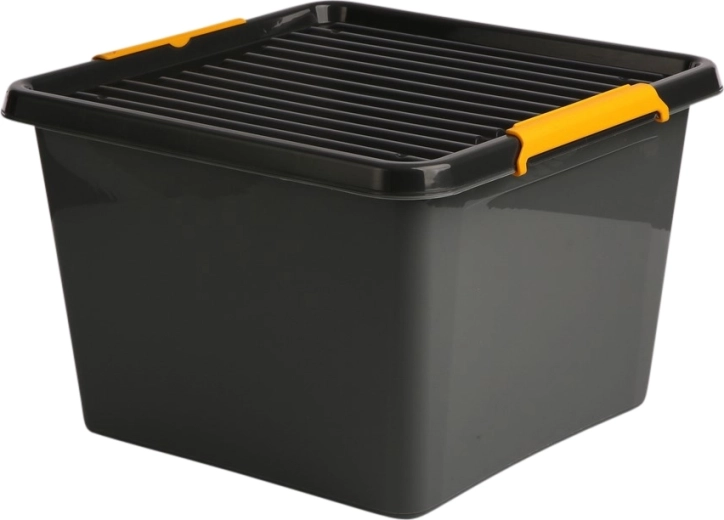Box contenitore Solidstore con coperchio 32 l (39 × 39 × 26 cm)