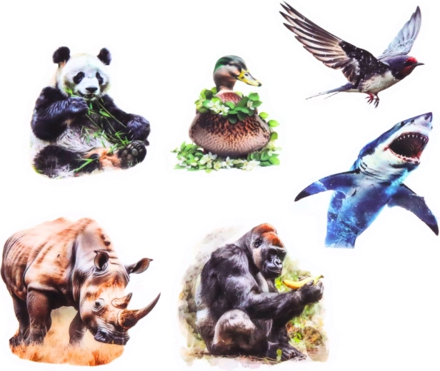 Sfondo trasparente per un look pulito