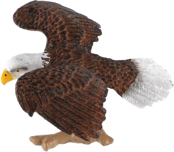 Ispirata a un affascinante rapace