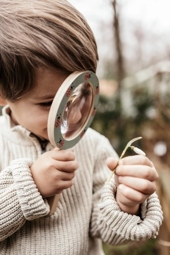 Simpatico motivo di coccinelle che diverte