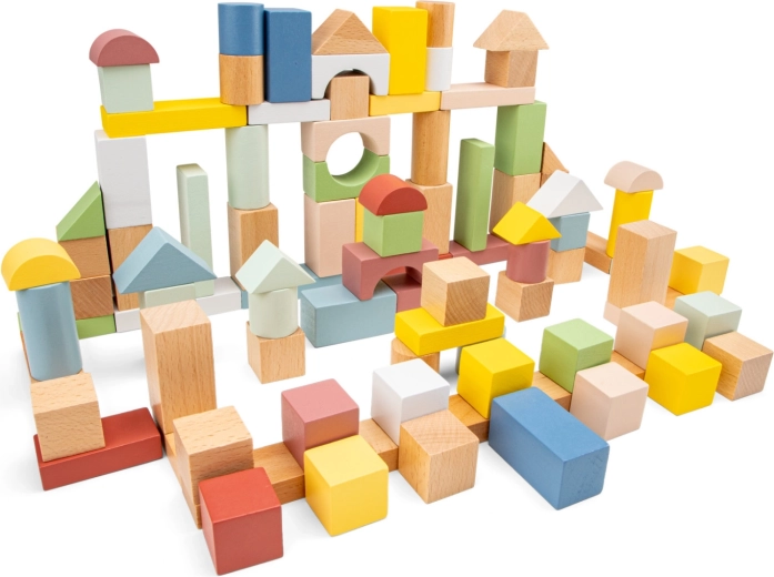 100 blocchi per grandi idee