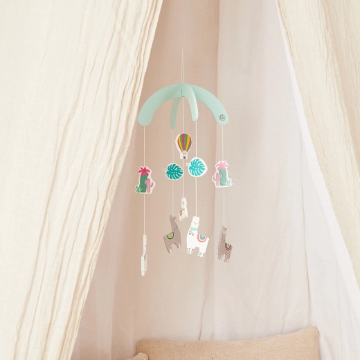 Design rilassante con lama, mongolfiera e cactus