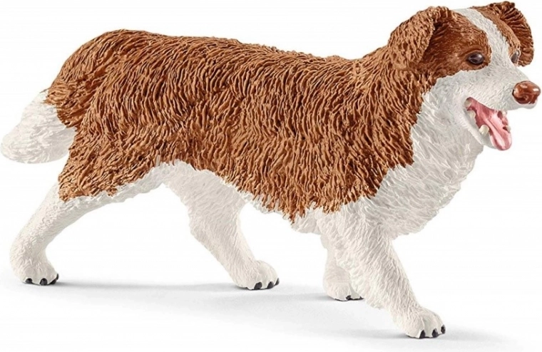 Cura degli animali con la cagnolina Ruby