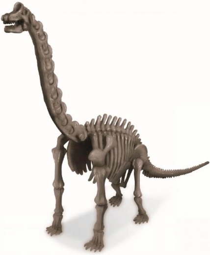 Modello assemblabile di Brachiosaurus