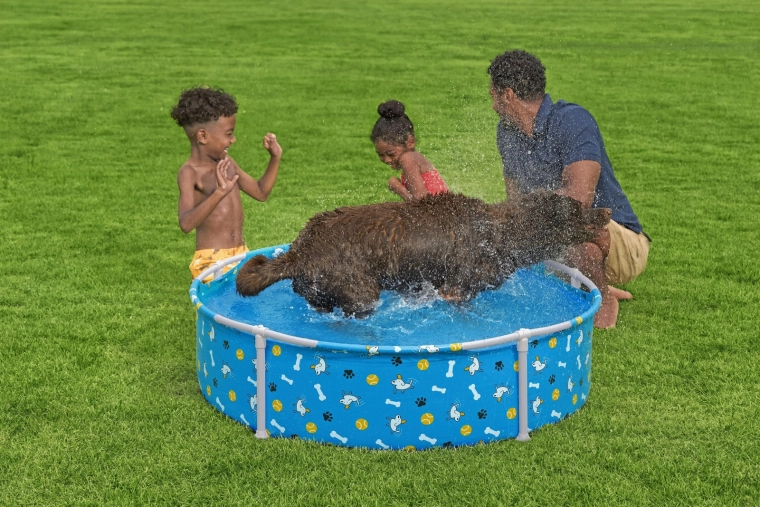 Design divertente per animali e bambini