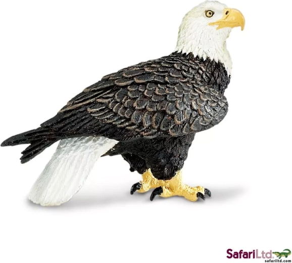 Safari Ltd. aquila calva