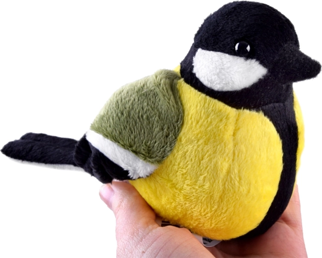 Dimensioni compatte 13 cm