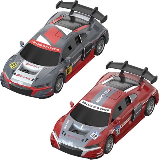 Auto da corsa AUDI con licenza