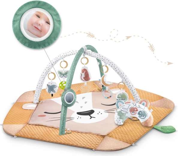 Archi regolabili e tasche per fotografie