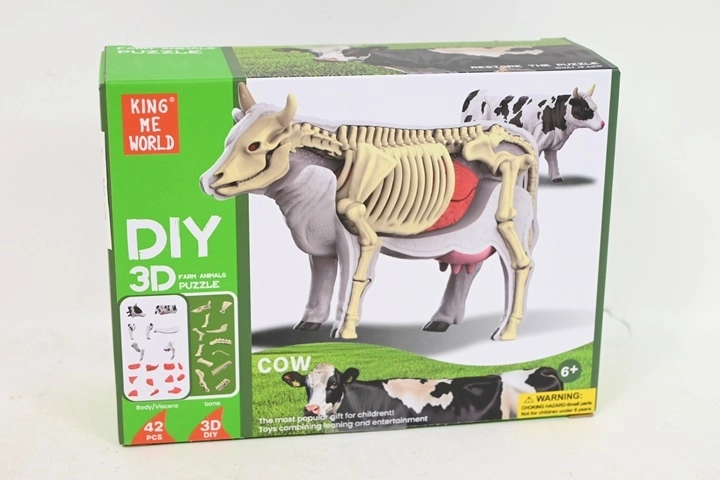 Modello anatomico di mucca per bambini