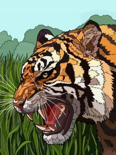 Pittura con numeri tigre ruggente nell'erba 40 × 50 cm