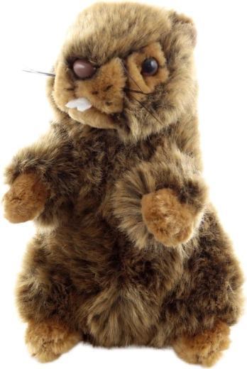 Lavorazione eco-friendly