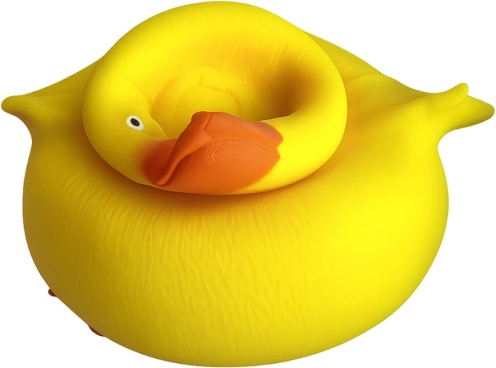 Colore brillante e design giocoso