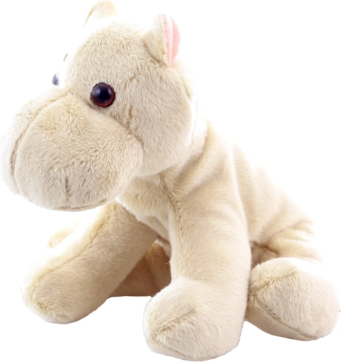 Seduta stabile grazie alle palline