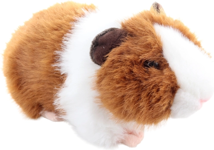 Morbido e ideale per le coccole