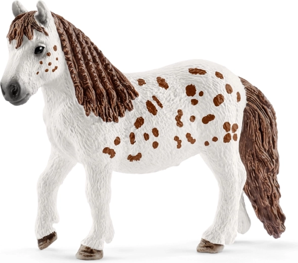 Pony Shetland Spotty con dettagli curati