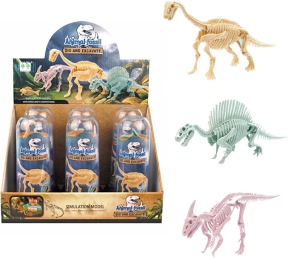 Scheletro di dinosauro in tubo trasparente