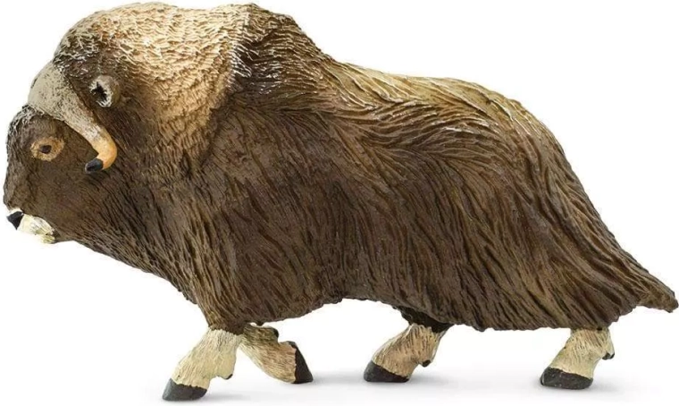 Safari Ltd. figurina di bue muschiato