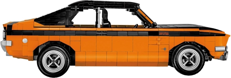 Grande scala 1:12 e modello d'effetto da esporre