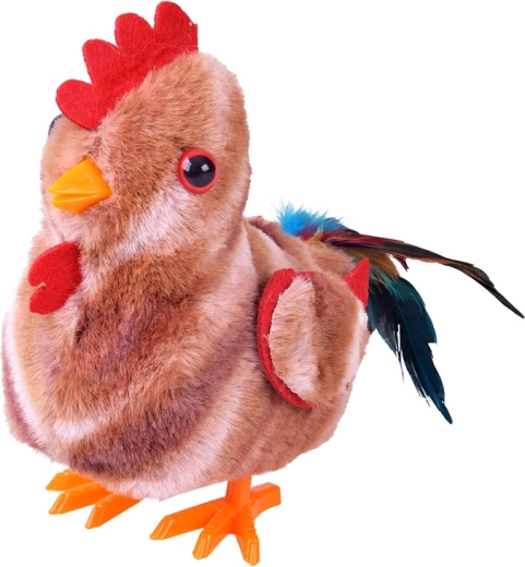 Cammina e agita le ali