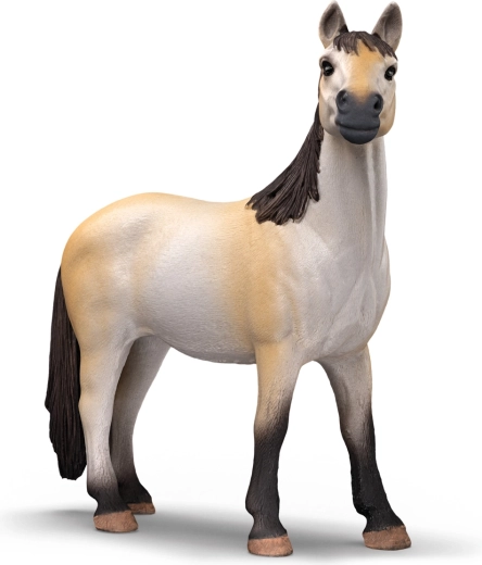 Splendida giumenta mustang