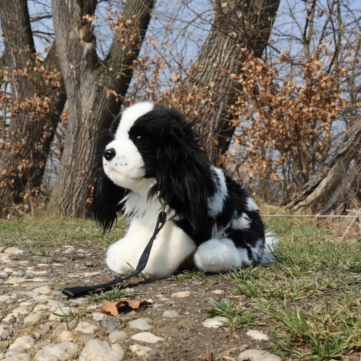 Guinzaglio per giocare a passeggiare