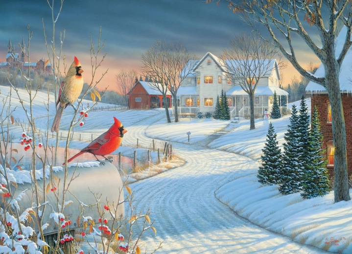 EUROGRAPHICS Puzzle Cardinali in inverno 1000 pezzi