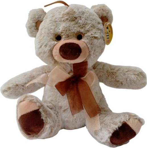 Orsetto di peluche marrone con accessori
