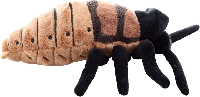 Design realistico con lavorazione dettagliata