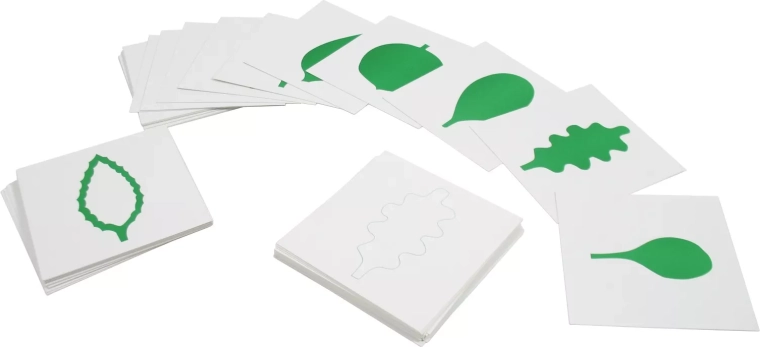 Carte – forme delle foglie