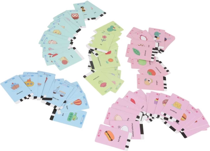 Ricco set di 100 carte educative