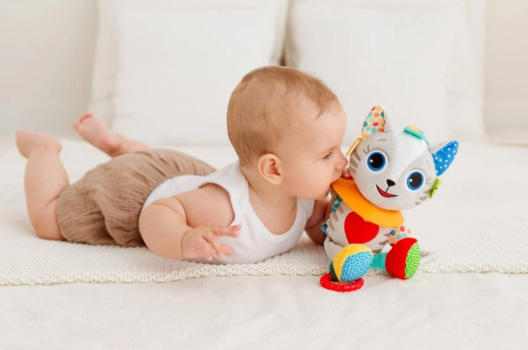 Divertimento e stimolazione sensoriale