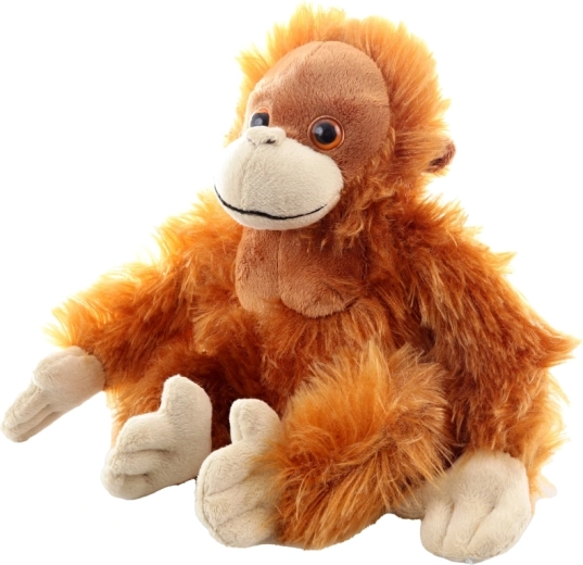 Dettagli adorabili e lavorazione di qualità