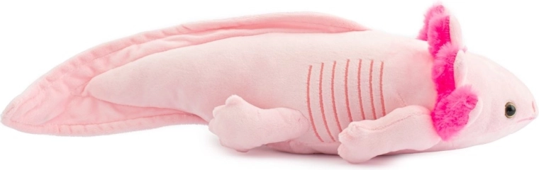 Design adorabile che stimola la fantasia