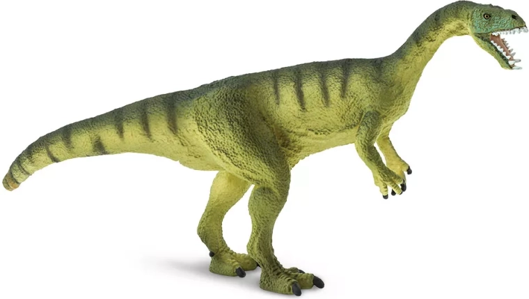 Scelta sicura, atossica e più rispettosa