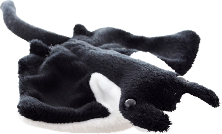 Forma realistica di manta