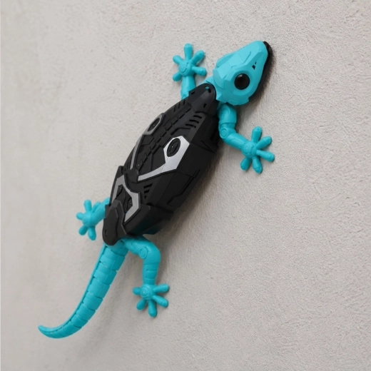 Arrampica sul muro e si muove sul pavimento