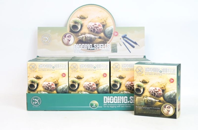 Set per bambini a forma di conchiglie per scavare nella sabbia (12 pz in espositore)