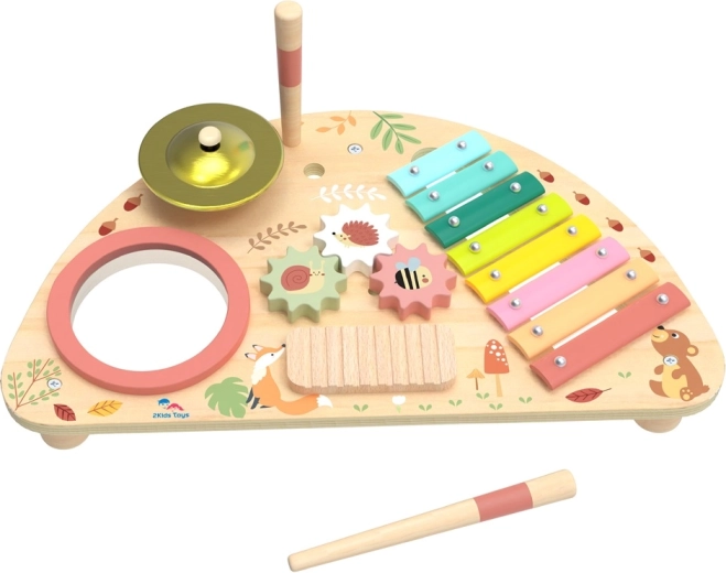 Tavola musicale multifunzionale 2Kids Toys