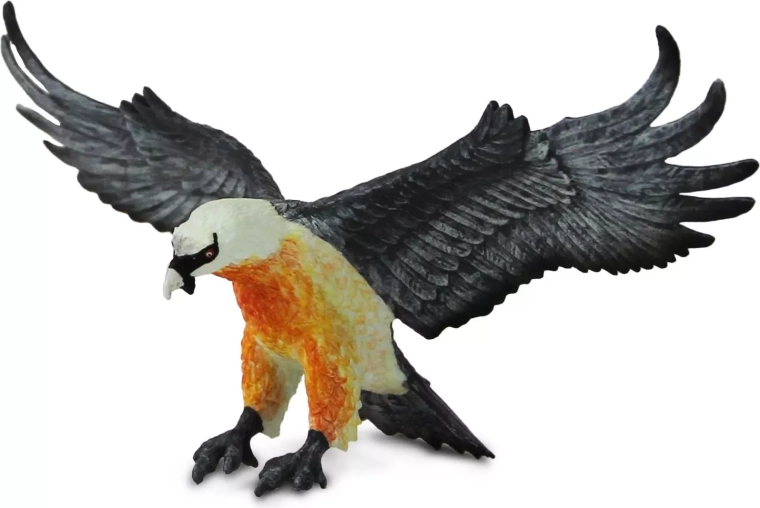 Safari Ltd. statuetta di avvoltoio barbuto