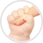Legno di faggio naturale – sicuro per il bambino