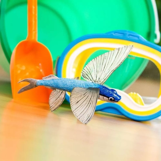Imparare giocando a casa e a scuola