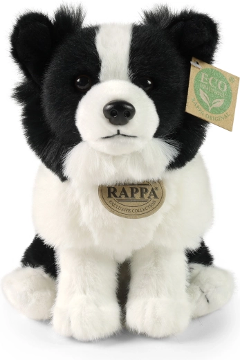 Dettagli realistici del Border Collie