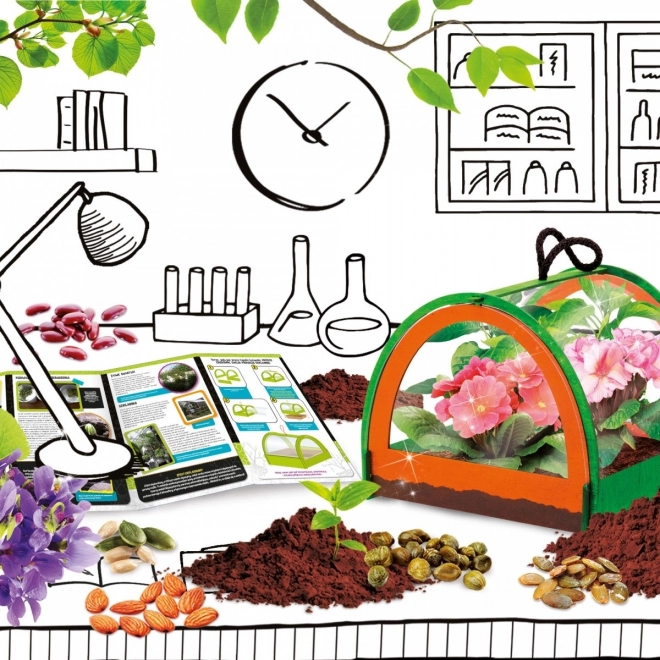 Costruisci la tua mini serra