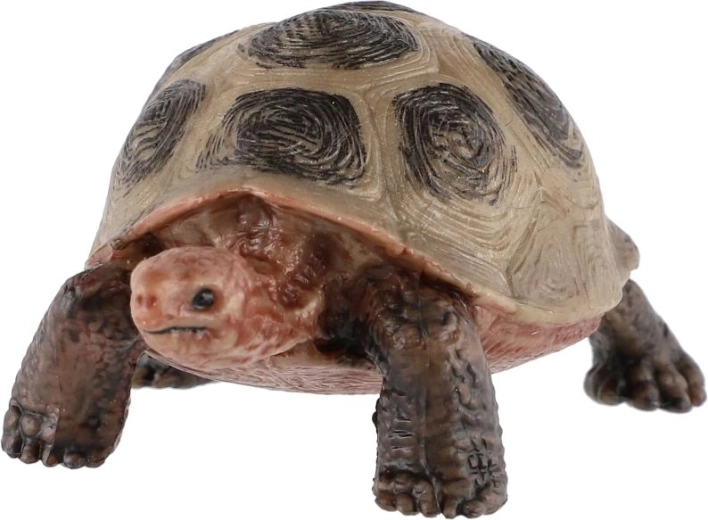 Per giocare e conoscere la natura